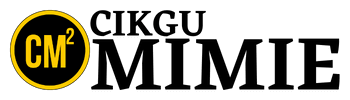 logo web